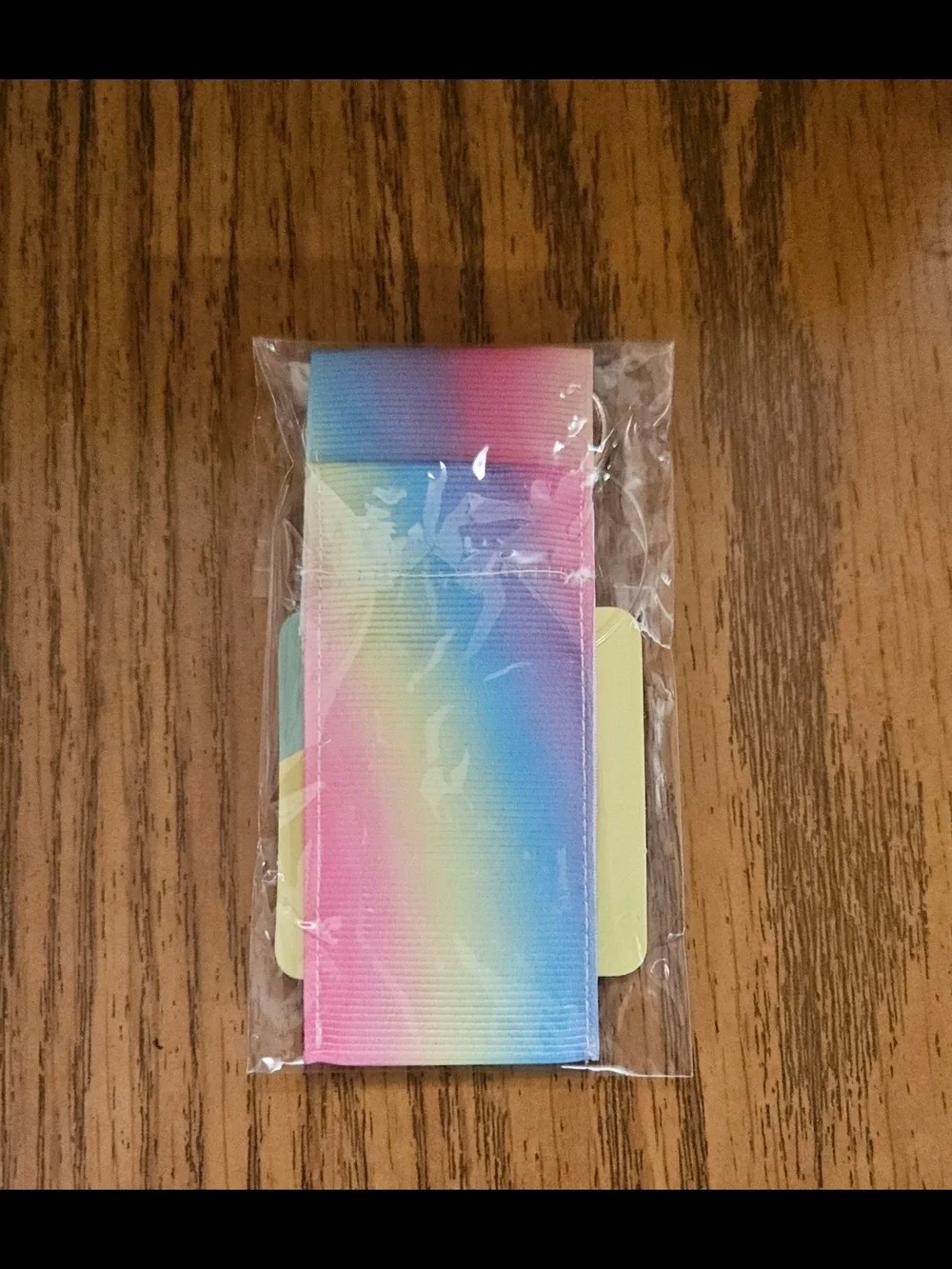 Lip Gloss  / Lip Balm Holder with Keychain In Rainbow BNIB